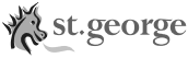 finance partner