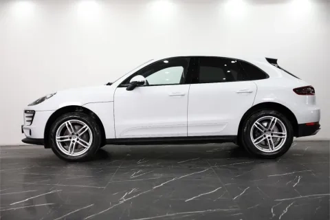 Macan