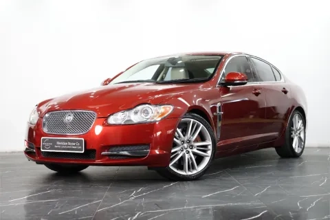 XF