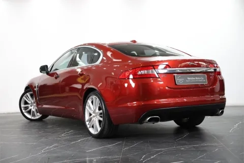 XF