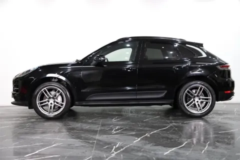 Macan