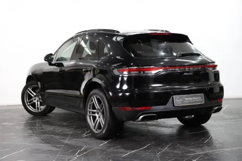 Macan