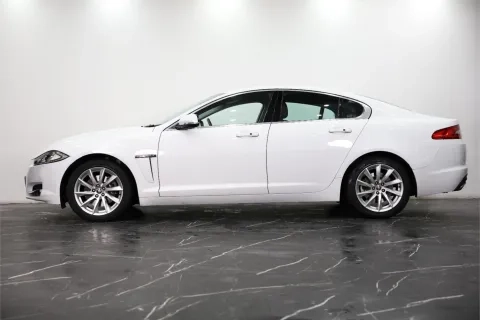 XF