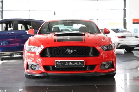 Mustang
