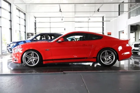 Mustang