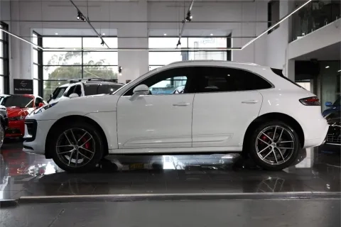 Macan