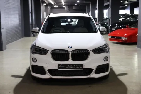 X1