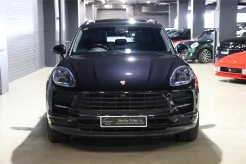 Macan