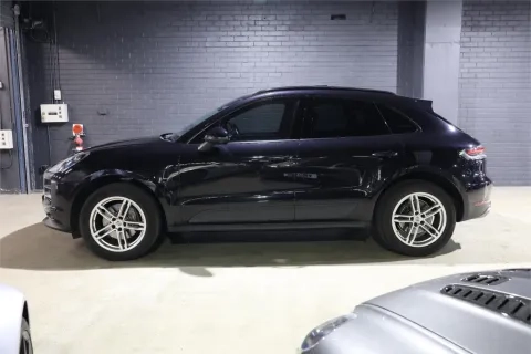Macan