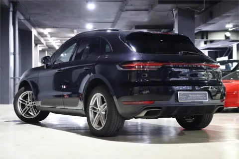 Macan
